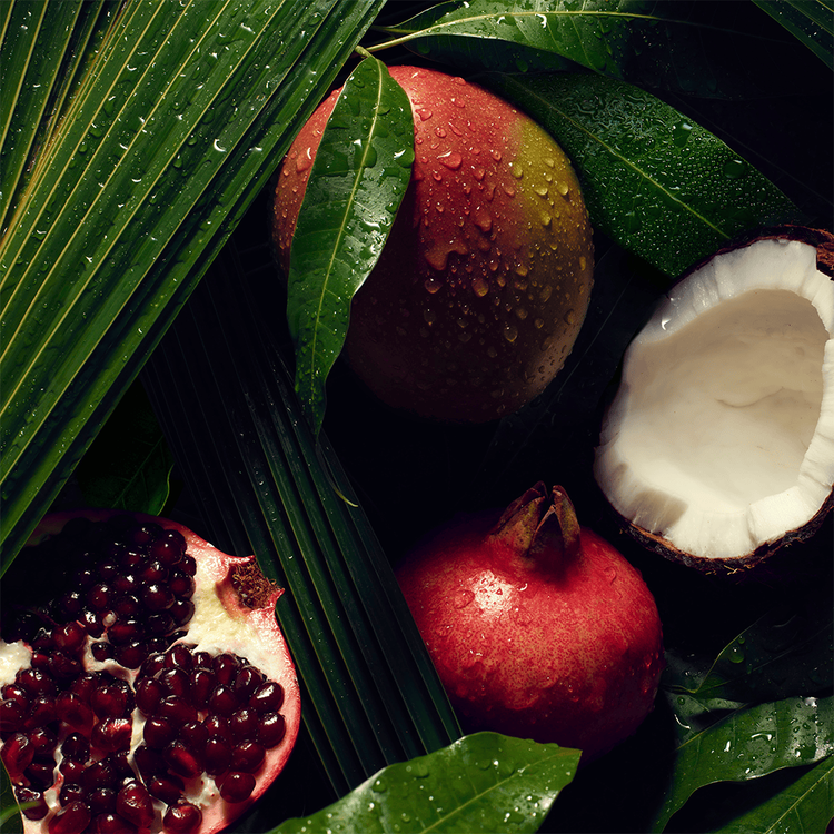 Nutriplenish Shampoo hidrata y nutre el cabello seco