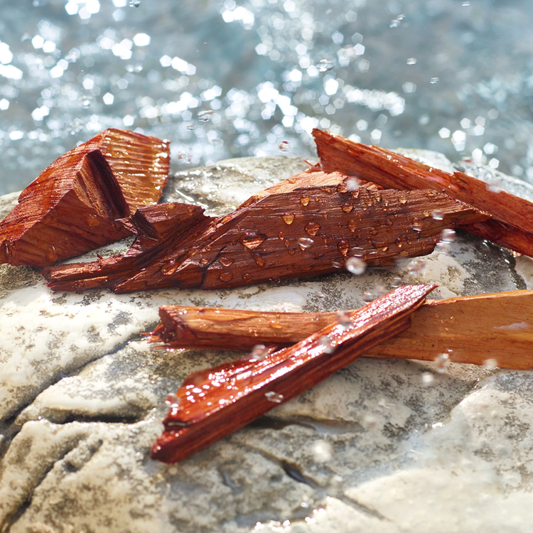 Light Blue Pour Homme Summer Vibes Perfume para hombre