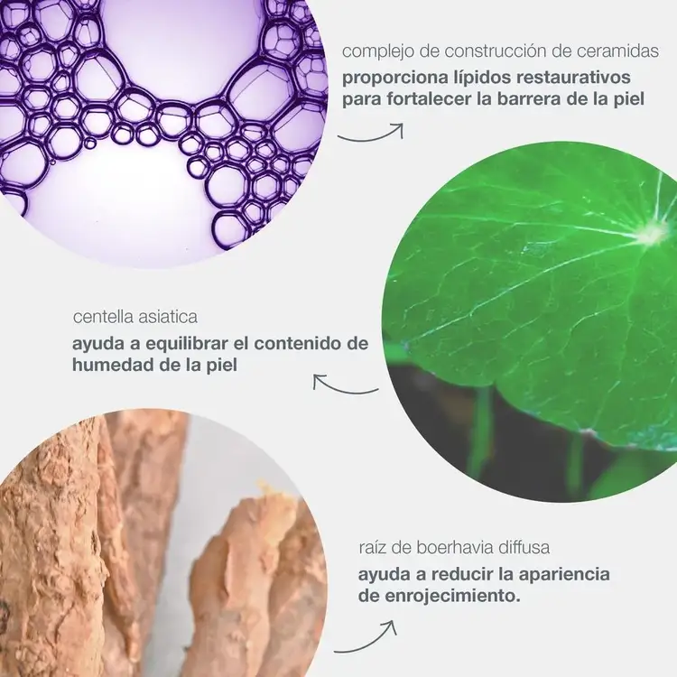 Stabilizing Repair - Crema reparadora, calma y protege piel sensible