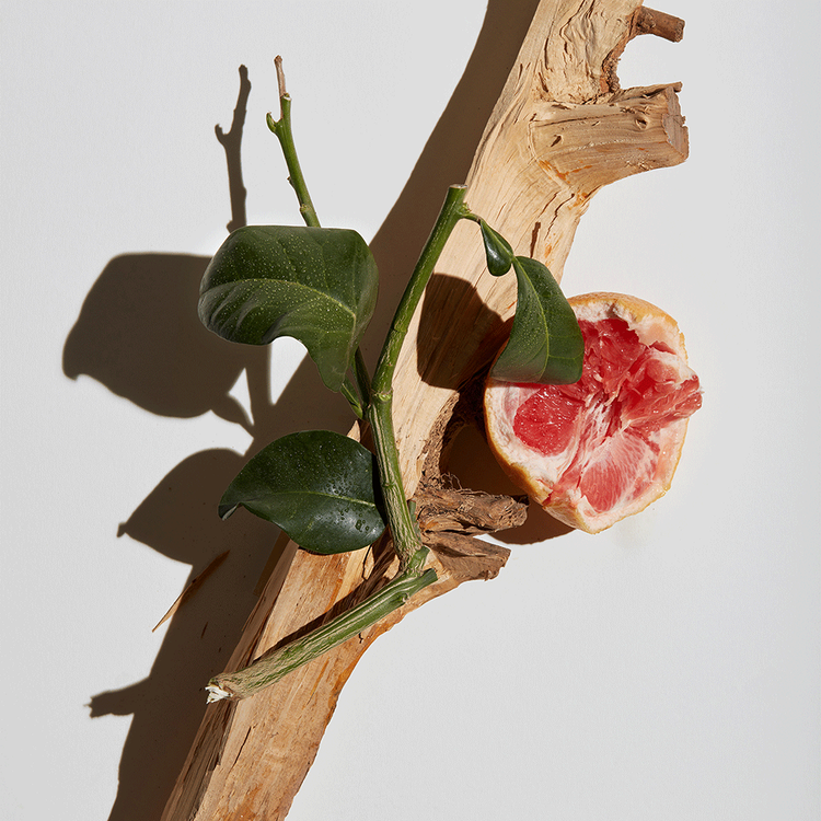 Agua Fresca Citrus Cedro Eau de Toilette para hombre