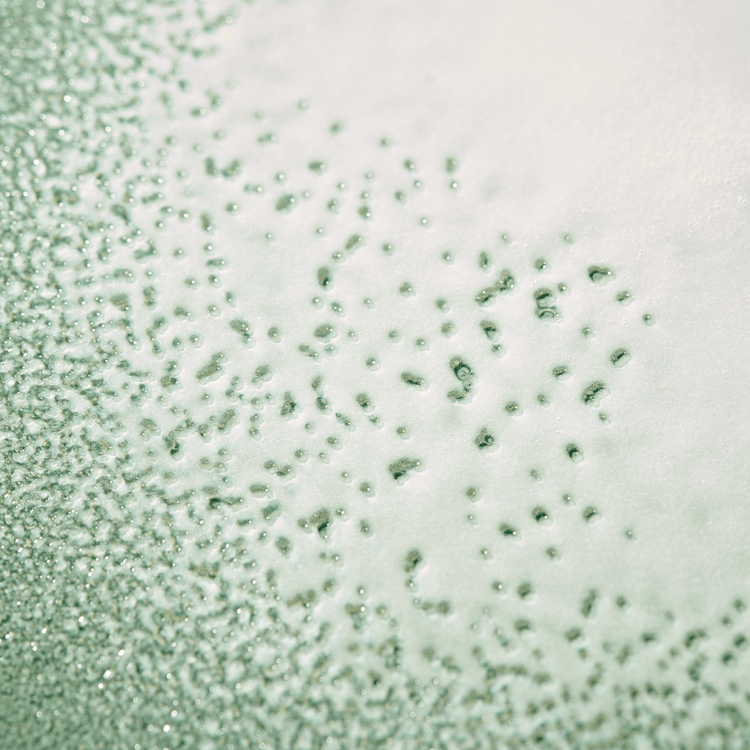 Benvoleo - Acondicionador, para cabello apagado