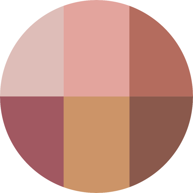 ChromaPlus 6-Pan - Paleta de sombras, larga duración