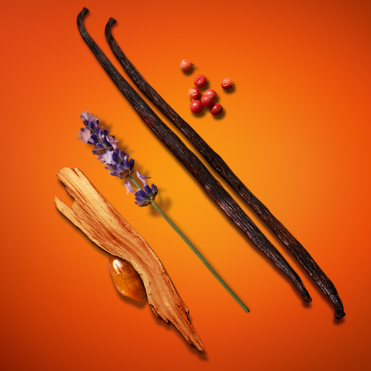 Stronger With You Intensely Eau De Parfum - Perfume, para hombre