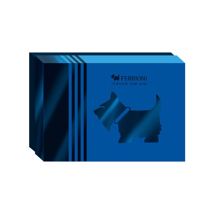 Terrier for him - Set de regalo, Eau de Parfum 90 ml + mini + desodorante