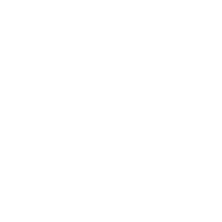 All About Matt! Fixing Compact Powder Polvo + bronceador matificador