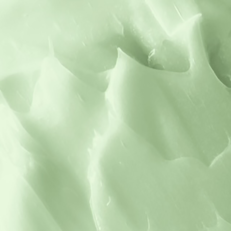 Perfect Repair Acondicionador protege el cabello