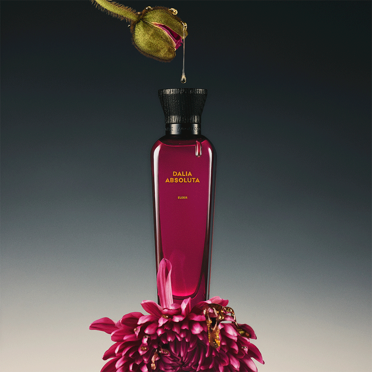 Dalia - Parfum, el primer elixir de Adolfo Dominguez
