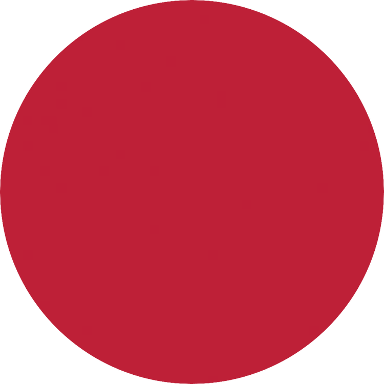 Color Statement - Delineador de labios, color intenso y definición precisa