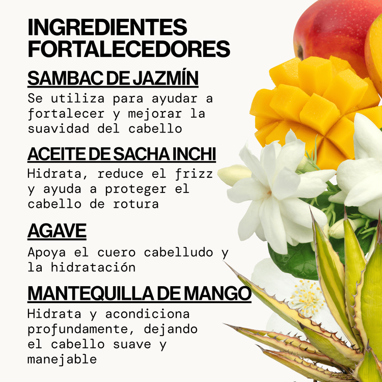 Jasmine Agave Strength + Shine - Acondicionador, ayuda a reparar el cabello