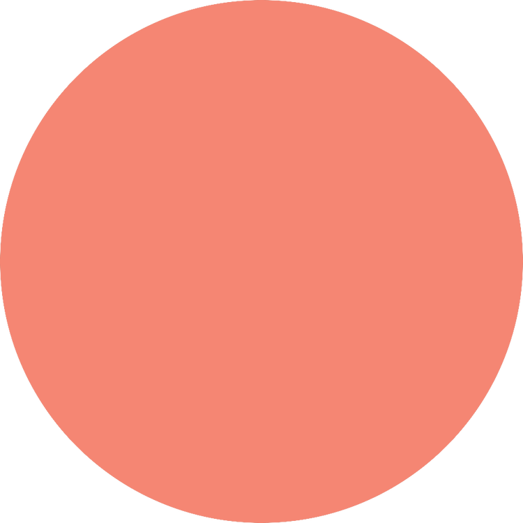 Liplights Cream Gloss labial acabado húmedo