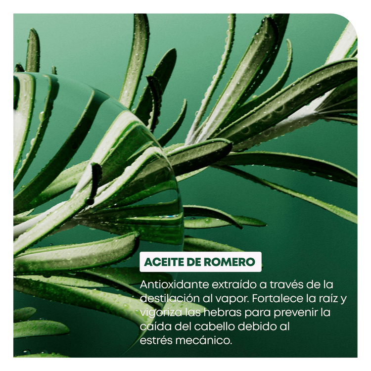 Full Rescue - Shampoo, defensa doble acción contra estrés mecánico y oxidativo