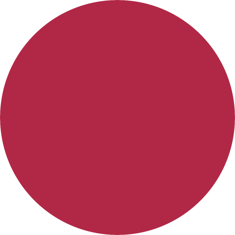 Berry Pop Lápiz labial labial de alta pigmentación y larga duración.