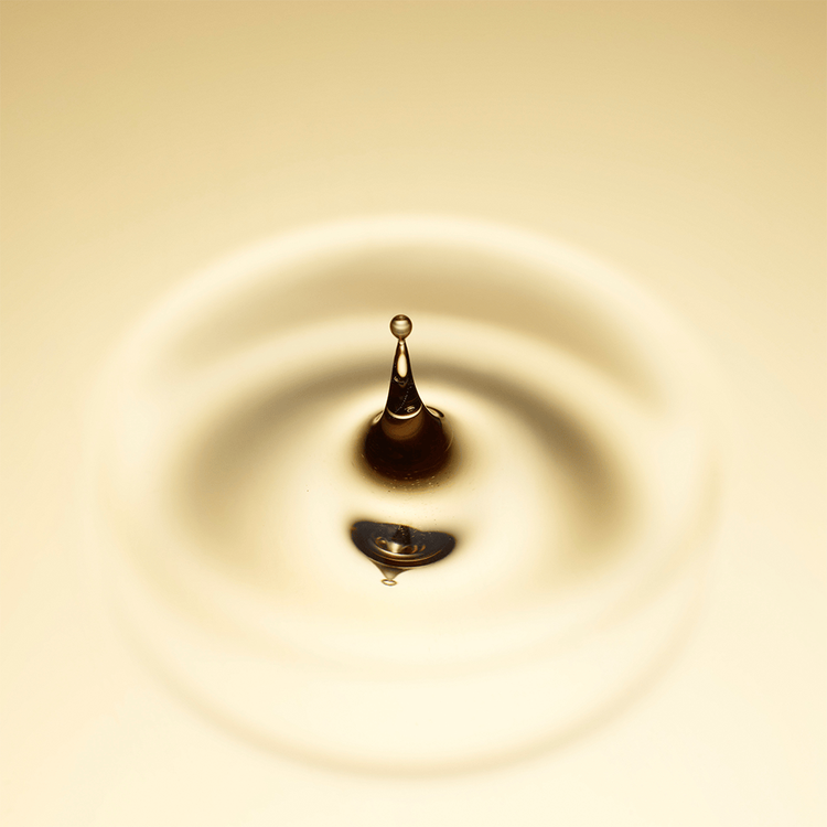 Nutriplenish Aceite para cabello hidrata y nutre el cabello seco