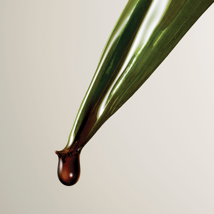 Blonde Revival Acondicionador neutraliza el color en rubios y platinados