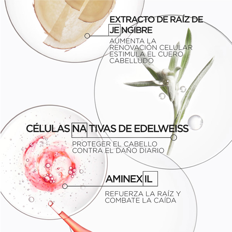 Genesis - Shampoo, reduce la caída del cabello