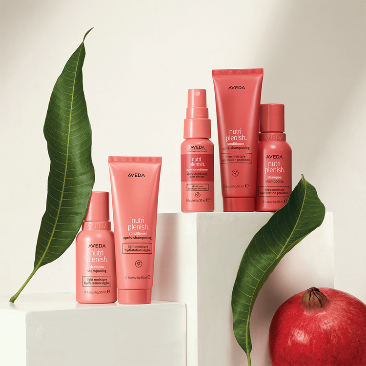 Nutriplenish Acondicionador hidrata y nutre el cabello seco