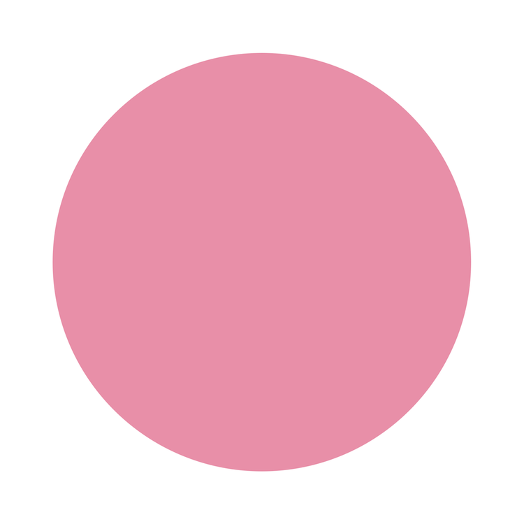 Kylie Velvet Lip Kit - Labial líquido y delineador, hasta 24h de duración continua