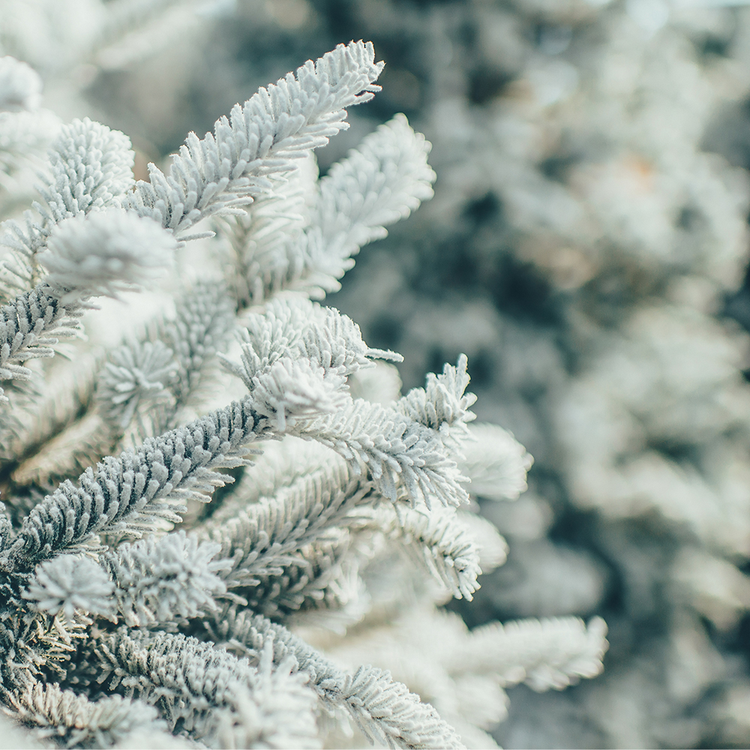 Room & Linen - Winter Ambientador, 8 a 24 horas de duración