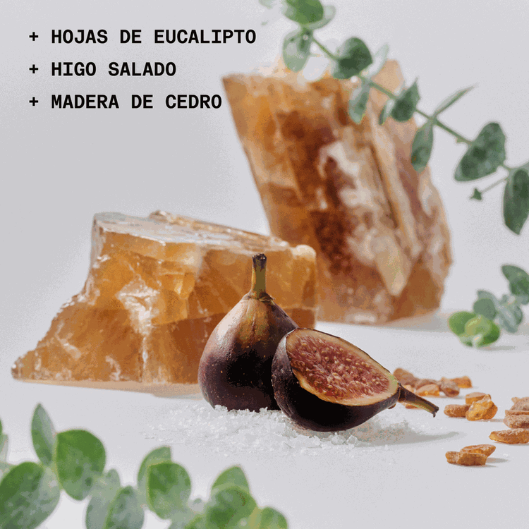 The Solid Fragrance - Sh**ty Day - Le Parfum, aroma concentrado