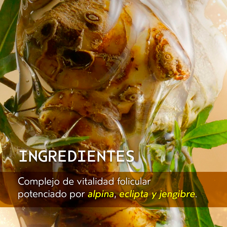 Full of Wonder - Set de regalo engrosamiento y volumen