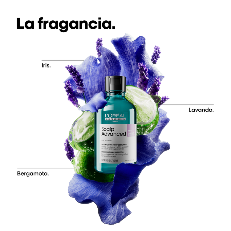Scalp Advance - Shampoo, elimina caspa y protege cuero cabelludo