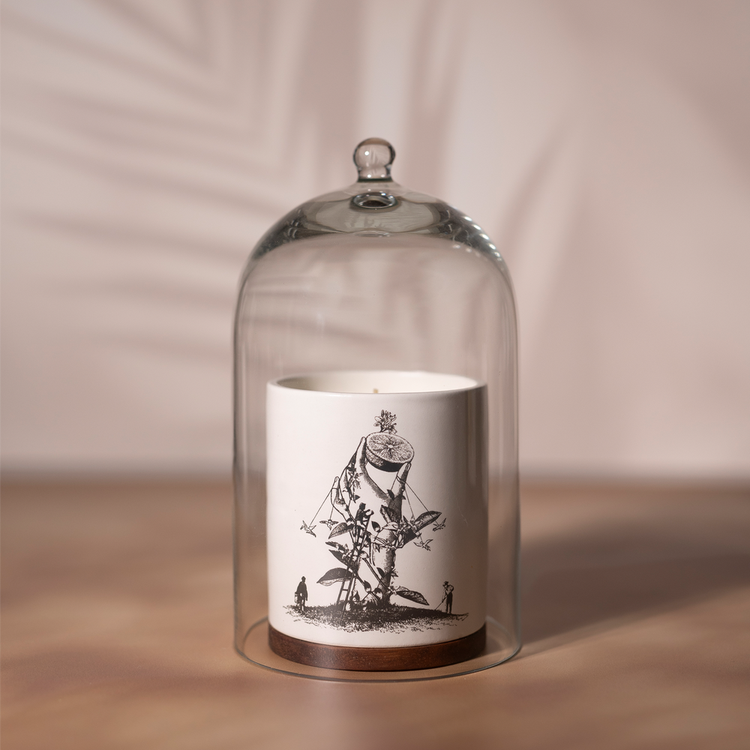 Perfumed Candle - Vela pefumada, aroma de larga duración