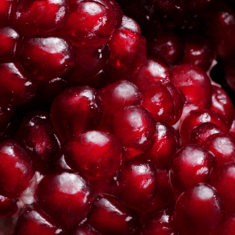 Nutriplenish Acondicionador hidrata y nutre el cabello seco y opaco