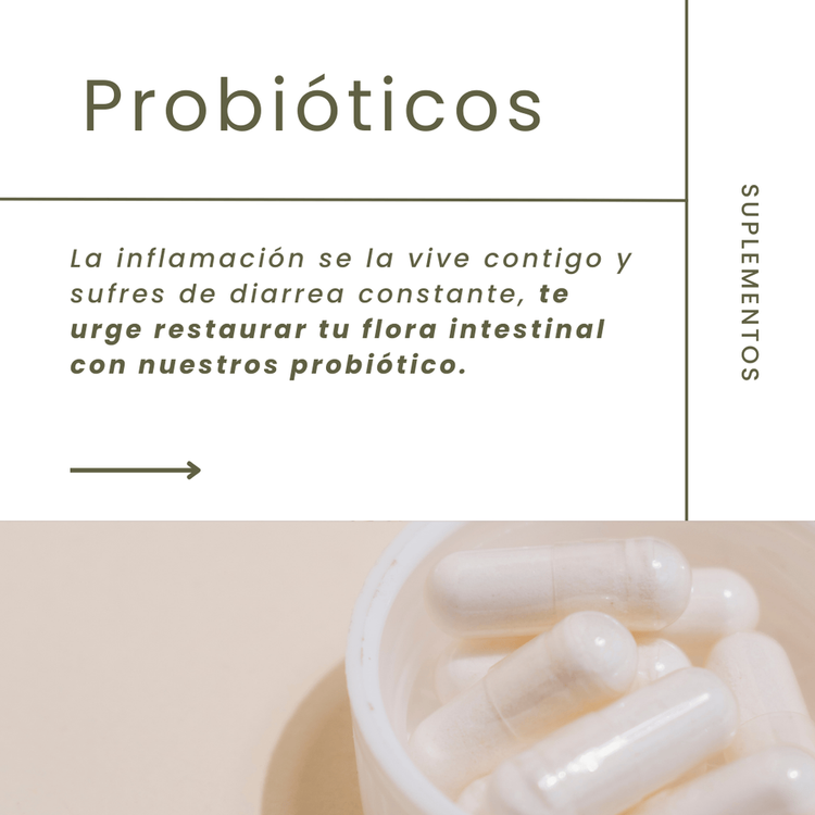 Vitaminas - Suplemento alimenticio, equilibra tu digestión y fortalece tu inmunidad