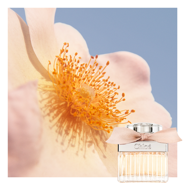 Signature - Eau De Parfum, luminoso y elegante con aroma floral