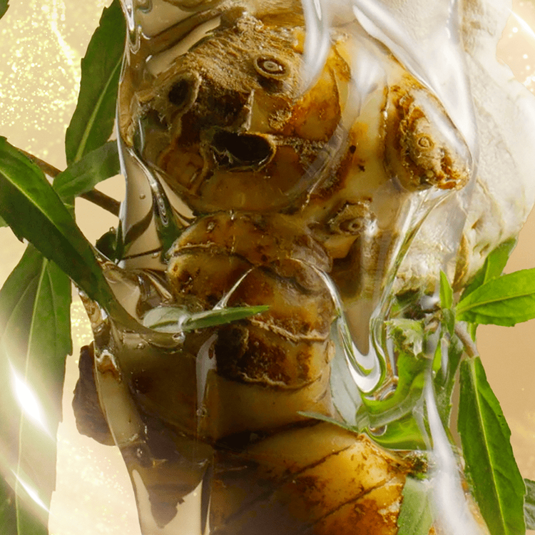 Invati Ultra Suero capilar evita la caída y engrosa el cabello