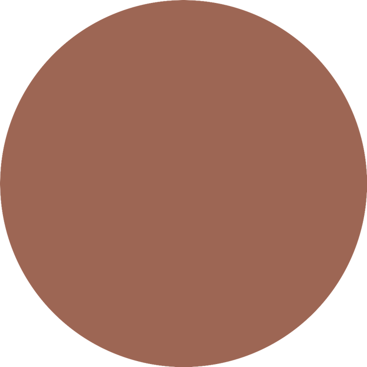 The Slim Stick - Labial, con acabado mate