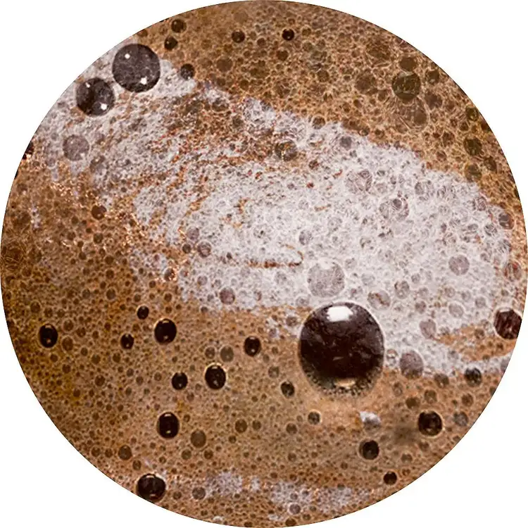 Sunny Honey Bali Espuma autobronceadora bronceado antienvejecimiento