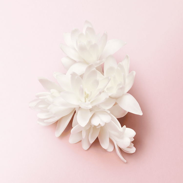 My Way Eau De Parfum Perfume para mujer