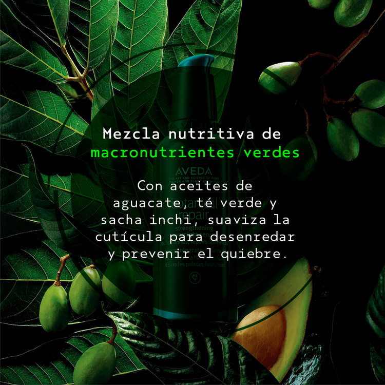 Botanical Repair Set de regalo reparación