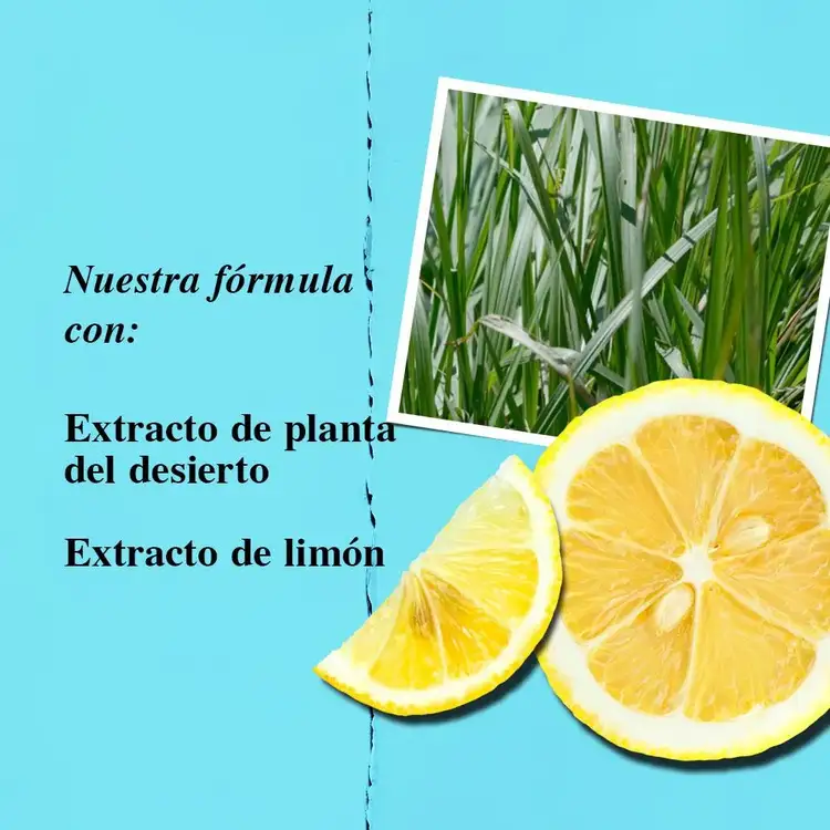Ultra Facial Crema hidrantante elimina a fondo impurezas