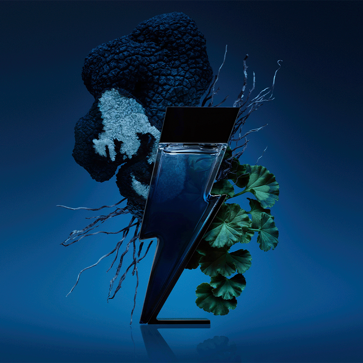 Bad Boy Cobalt - Set de regalo, Eau de Parfum 100 ml + Spritzer 10 ml