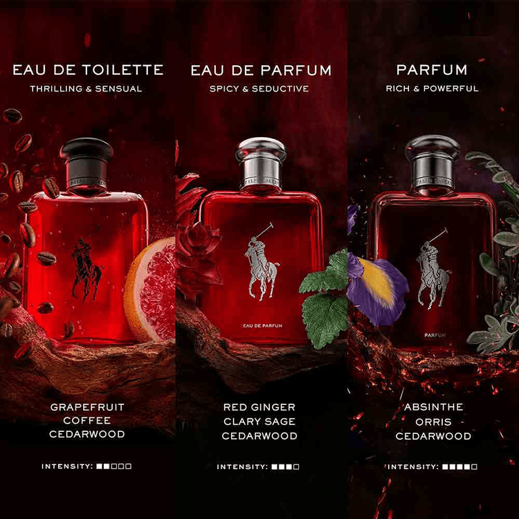 Polo Red Perfume