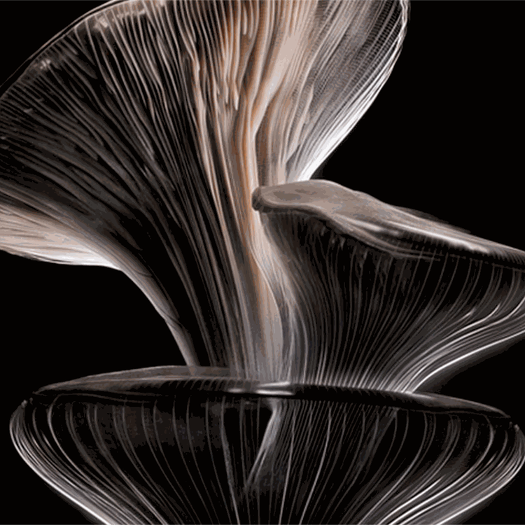 Chitosan™ - Spray de styling multiusos, 50 ml