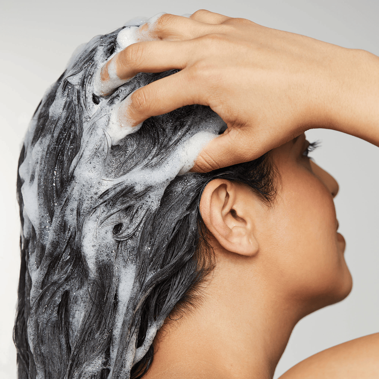 Awapuhi Wild Ginger Nourishing Shampoo repara el cabello dañado