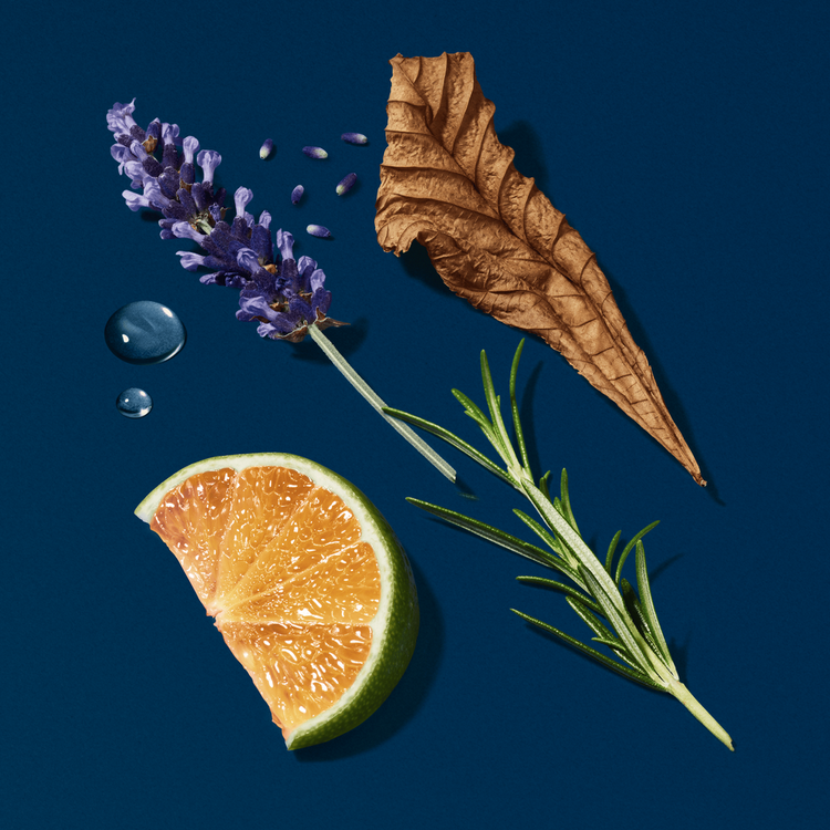 Acqua Di Giò Profondo - Parfum, fragancia que tramsite profunda frescura
