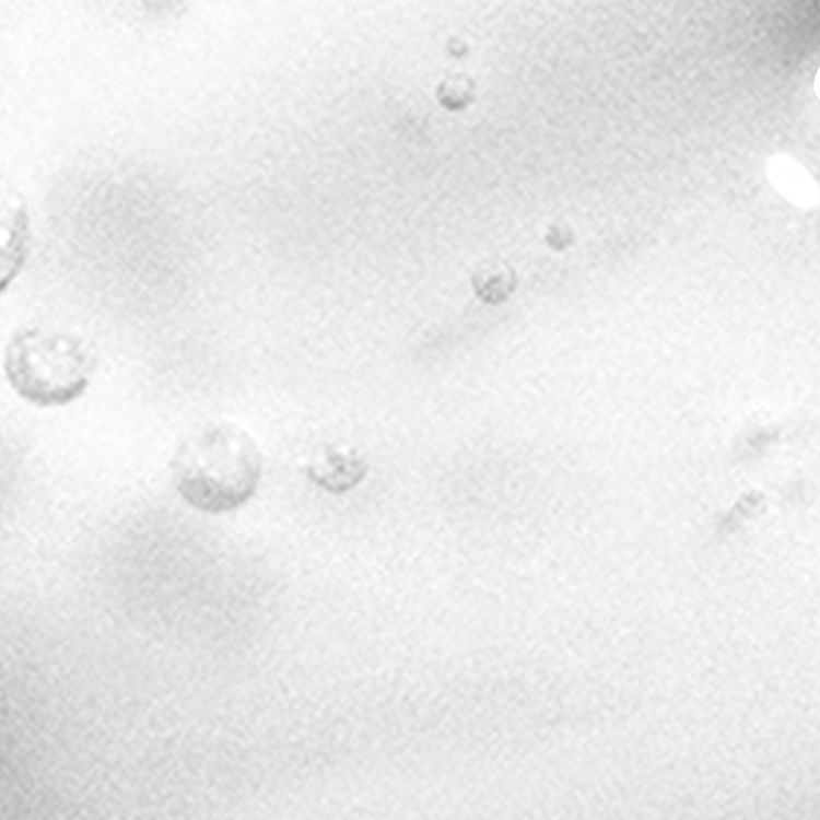 Bounce Right Back Primer extiende la duración del maquillaje