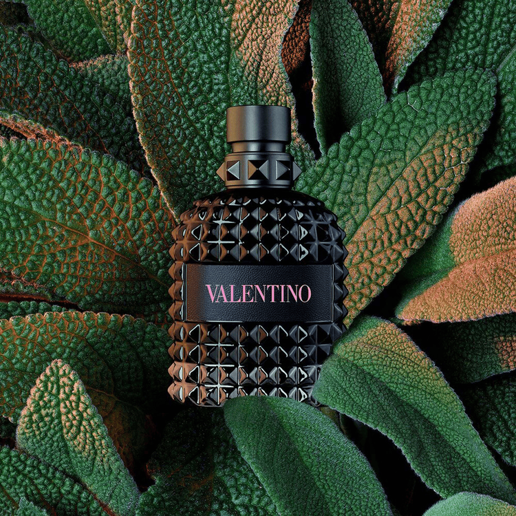 Uomo Born in Roma - Eau de Toilette, fragancia aromática y leñosa