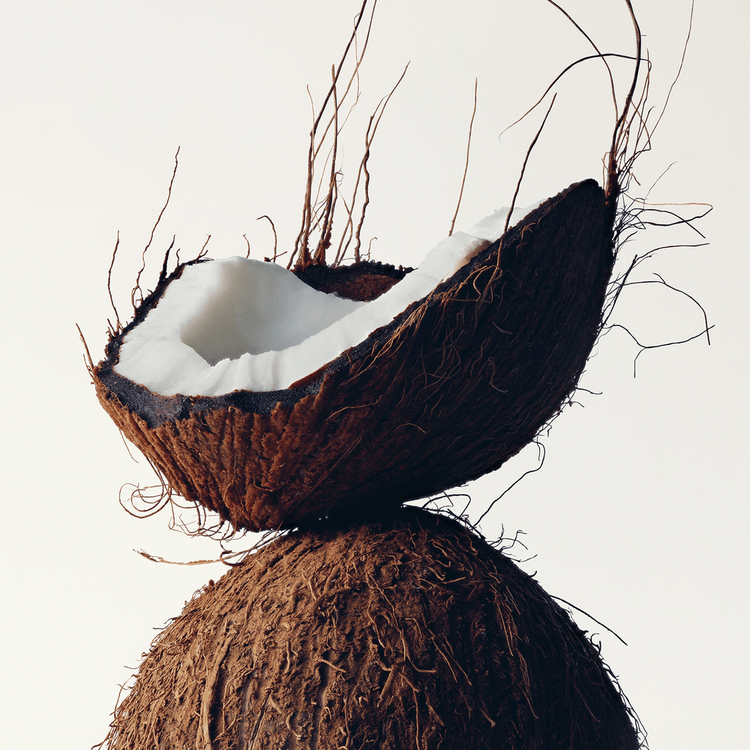 Botanical Repair - Tratamiento en mascarilla, fortalece y repara el cabello dañado