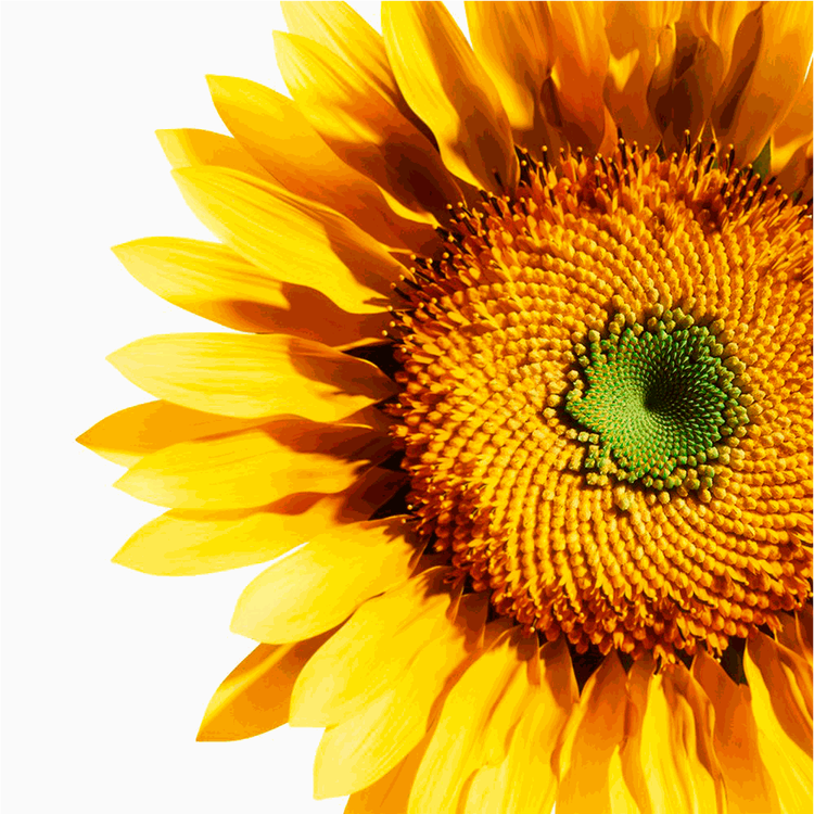 Omega™ - Leave-in spray acondicionador, 165 ml