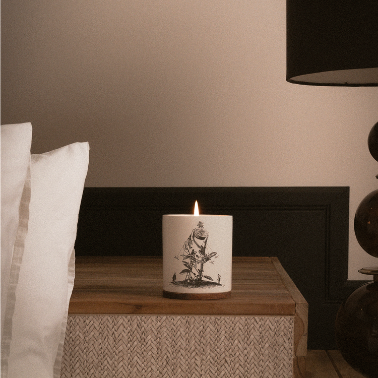 Perfumed Candle - Vela pefumada, aroma de larga duración