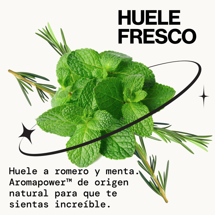 Scalp Love Rosemary Mint - Suero para cabello, suaviza e hidrata el cuero cabelludo