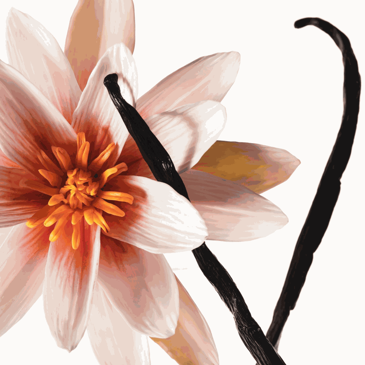 Vanilla Dew - Mist, bruma para cabello y cuerpo