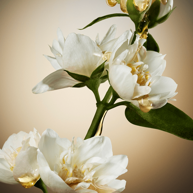 Boss The Scent Eau De Parfum - Perfume, para mujer