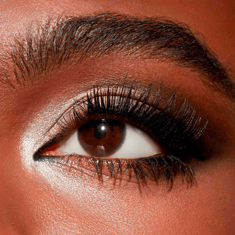 Connect In Colour Paleta de sombras 12 sombras de ojos true nudes