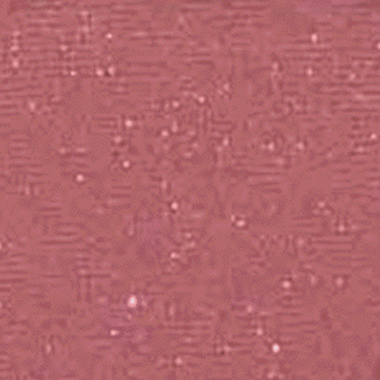 Uspr 16 Sombras de alto rendimiento para día y noche